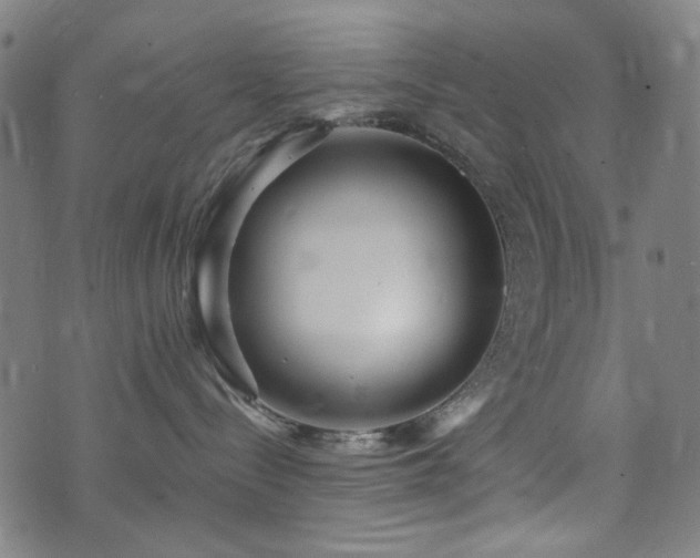 X0000072990288200607211207