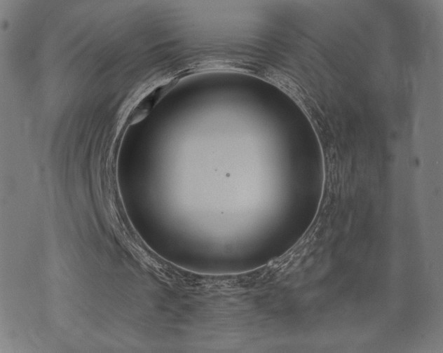 X0000072990289200607211206