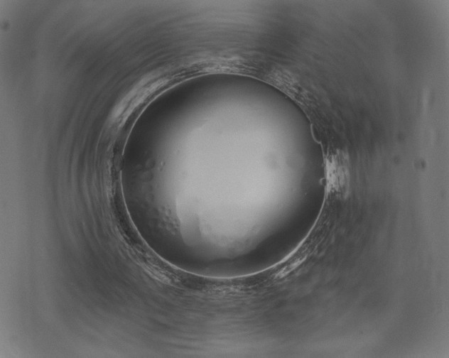 X0000072990291200607211206