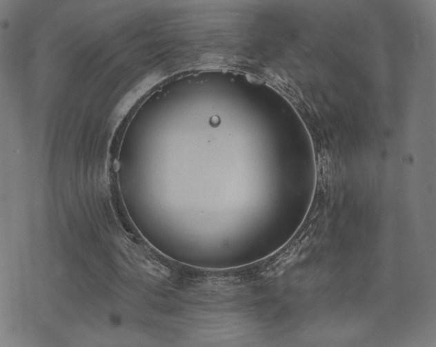 X0000072990292200607211206