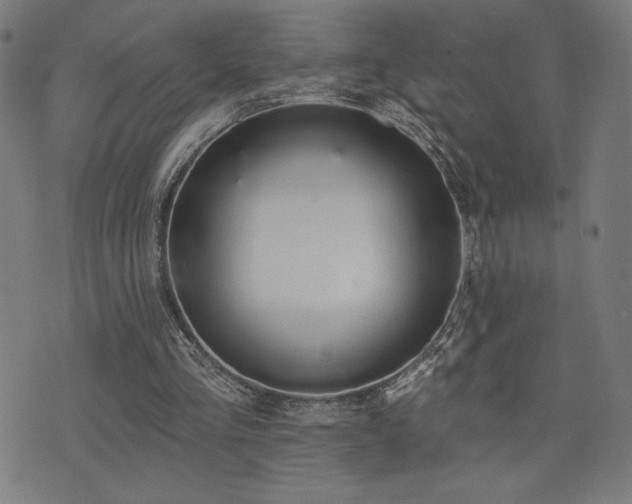 X0000072990293200607211206