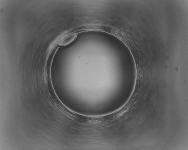 X0000072990294200607211206