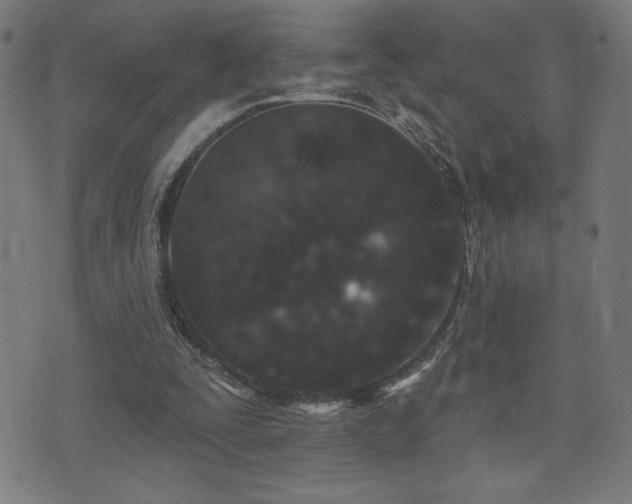 X0000072990295200607211206