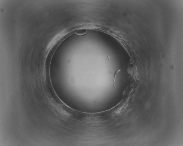 X0000072990296200607211206