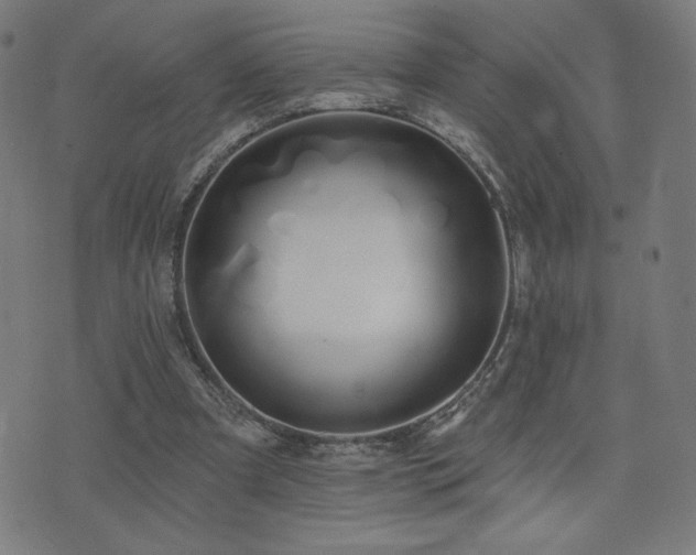 X0000072990297200607211206