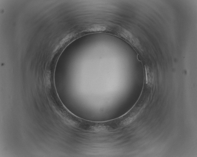 X0000072990300200607211206