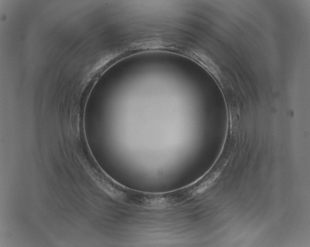 X0000072990301200607211206