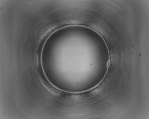 X0000072990302200607211206