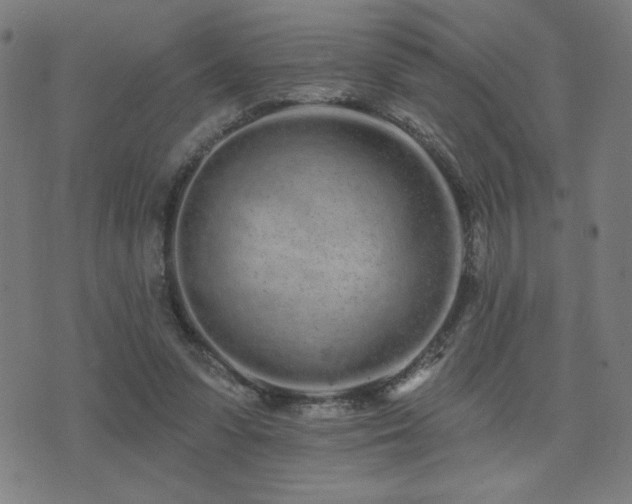 X0000072990303200607211206