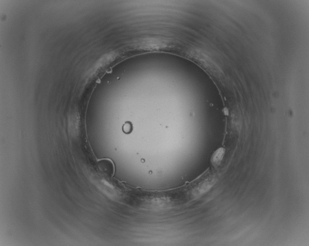 X0000072990304200607211205