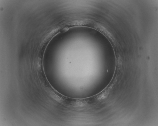 X0000072990305200607211205