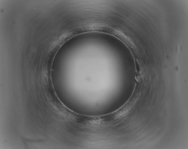 X0000072990306200607211205