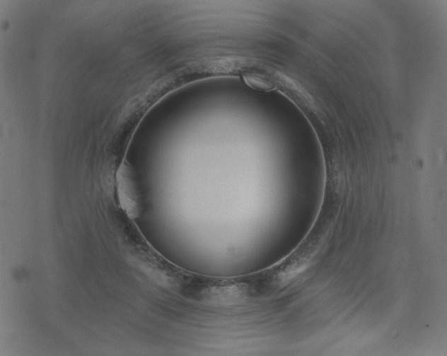 X0000072990307200607211205