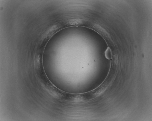 X0000072990308200607211205