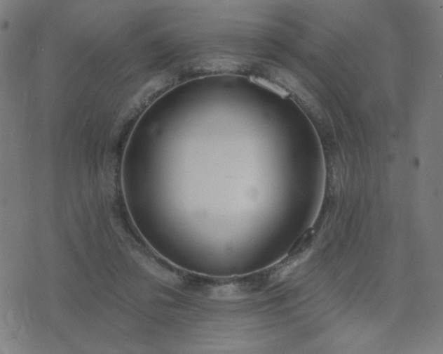 X0000072990309200607211205