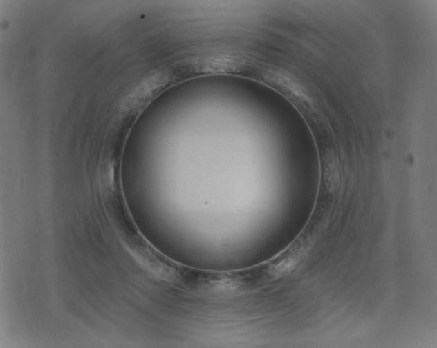 X0000072990310200607211205