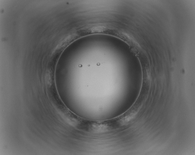 X0000072990311200607211205