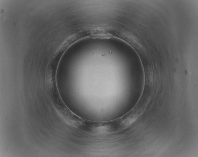 X0000072990312200607211205