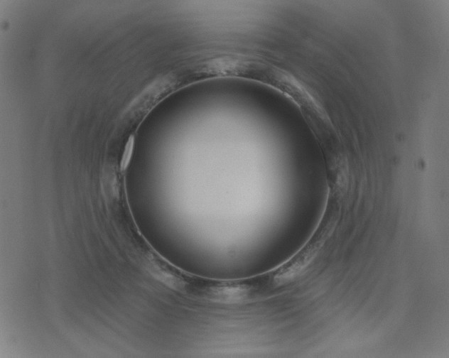 X0000072990313200607211205