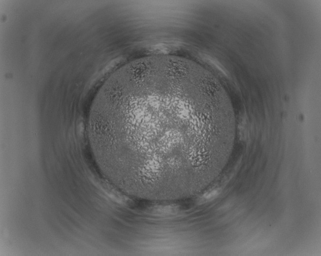 X0000072990314200607211205