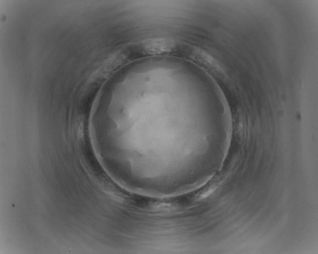 X0000072990315200607211205