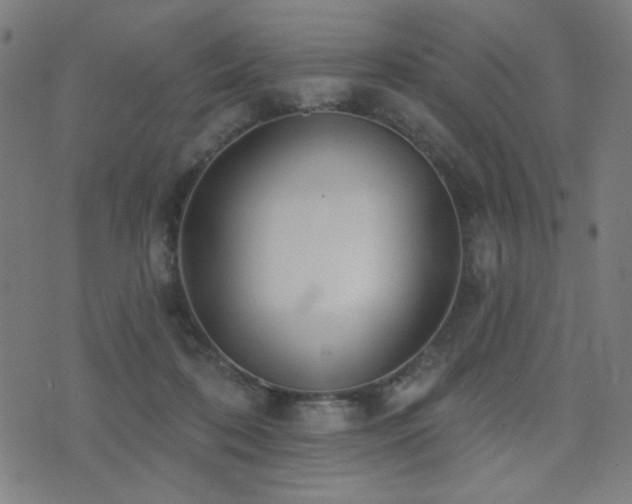 X0000072990316200607211205