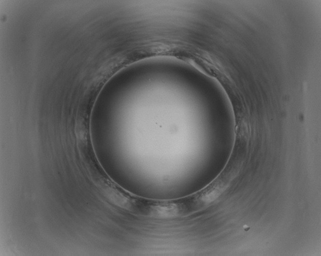 X0000072990317200607211205