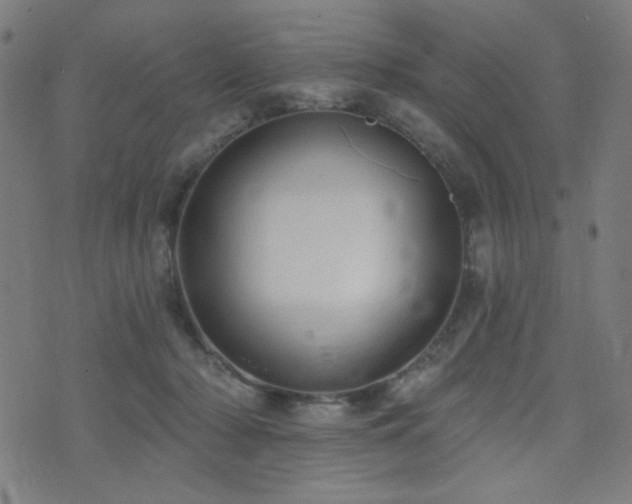 X0000072990318200607211205