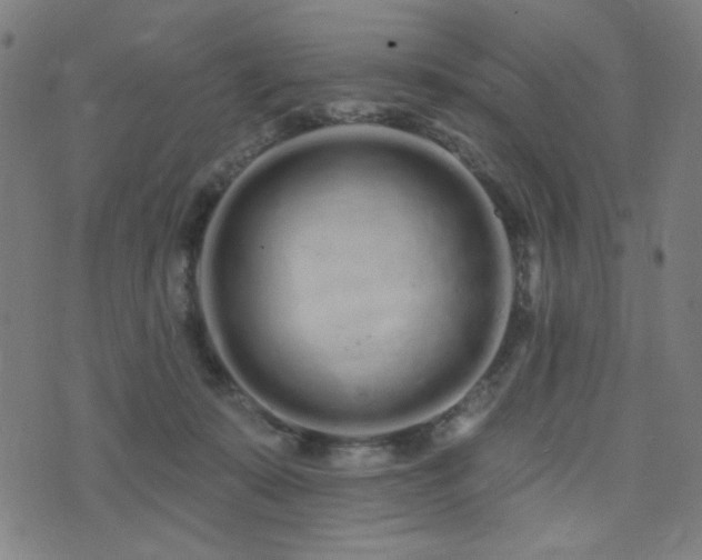 X0000072990319200607211205