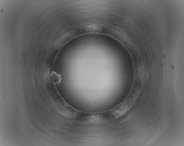 X0000072990320200607211205