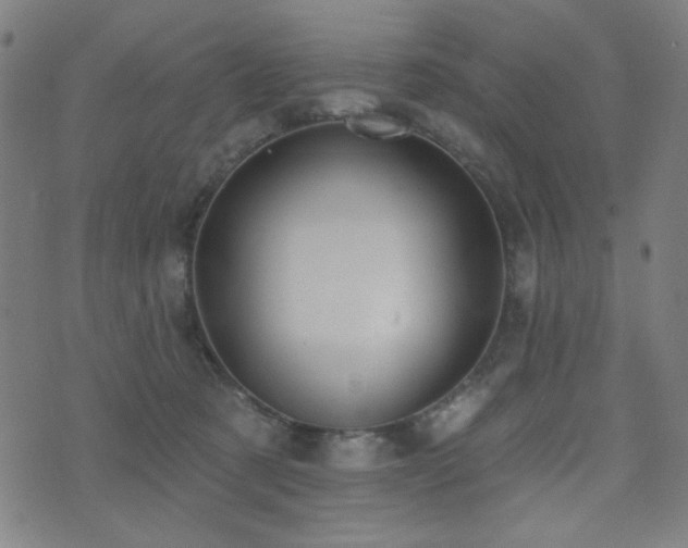 X0000072990321200607211205