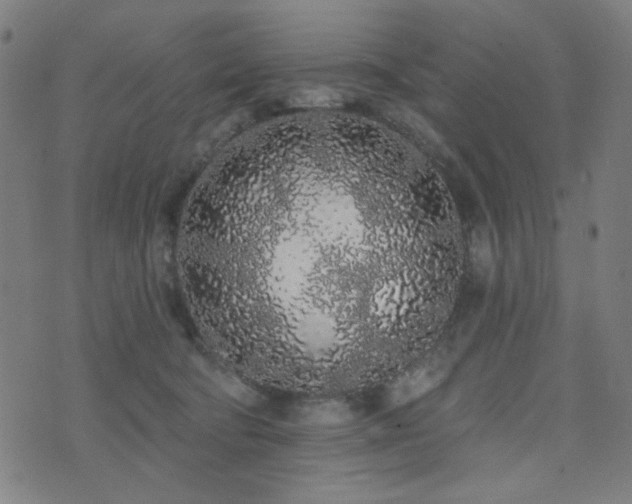 X0000072990322200607211205