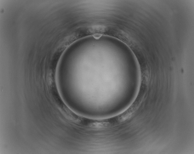 X0000072990323200607211205