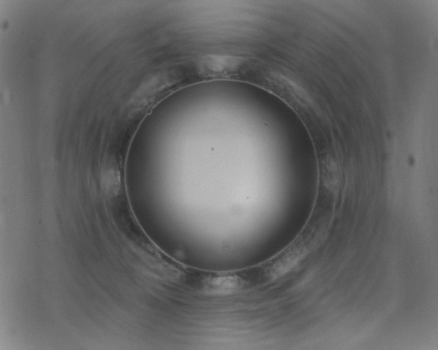 X0000072990324200607211205