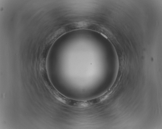 X0000072990325200607211205