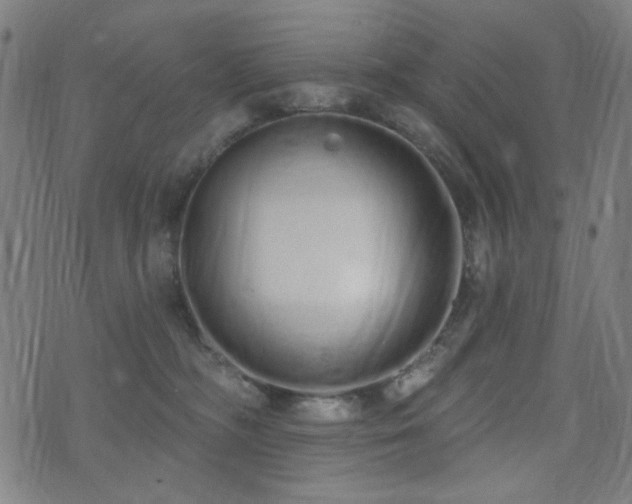 X0000072990326200607211205