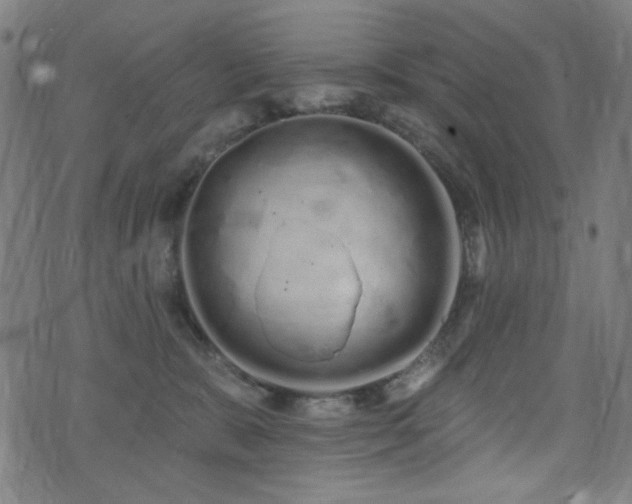 X0000072990327200607211205