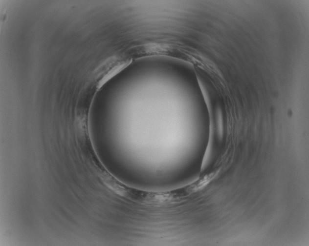 X0000072990329200607211205