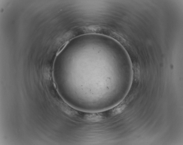 X0000072990331200607211205