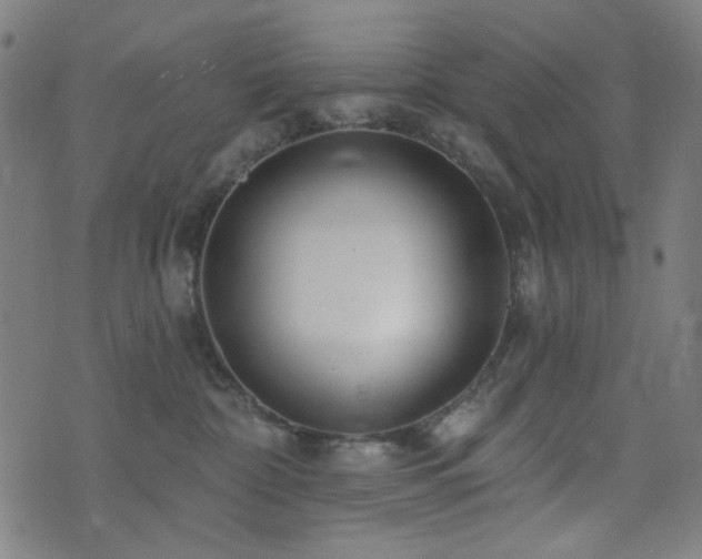 X0000072990332200607211205