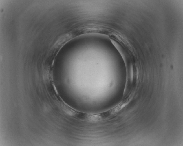 X0000072990333200607211205