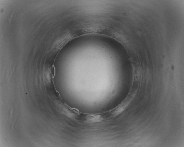 X0000072990334200607211205