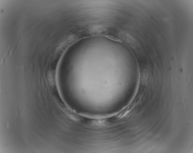 X0000072990335200607211205