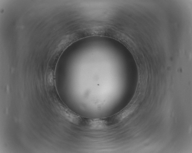 X0000072990336200607211205