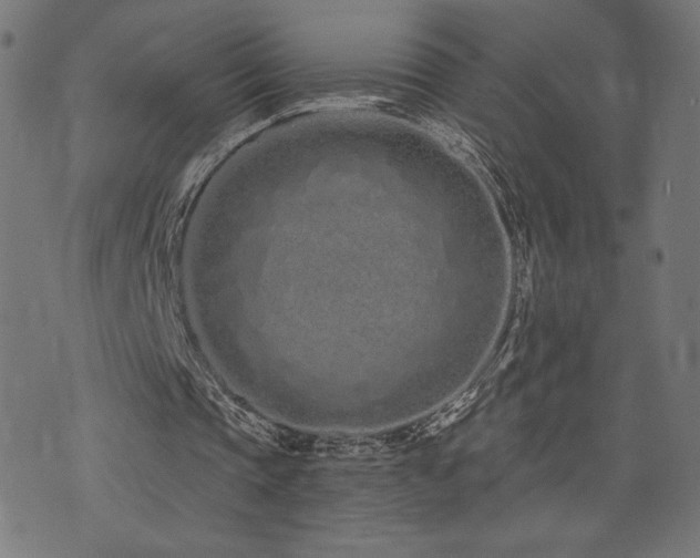 X0000072990337200607211204