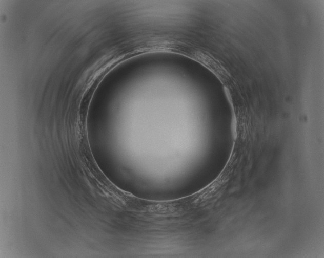 X0000072990338200607211204