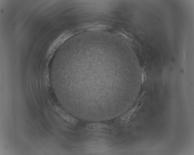 X0000072990339200607211204