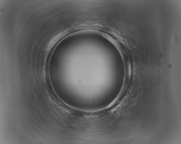 X0000072990340200607211204