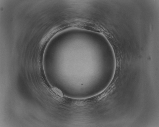 X0000072990341200607211204