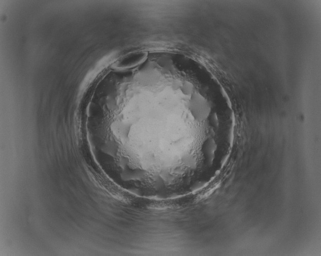 X0000072990343200607211204